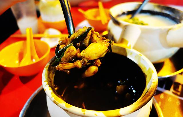 狮城芽笼九巷活田鸡