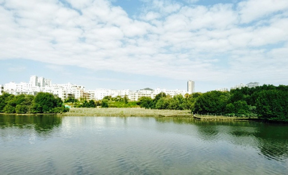 临春河公园旅游景点图片