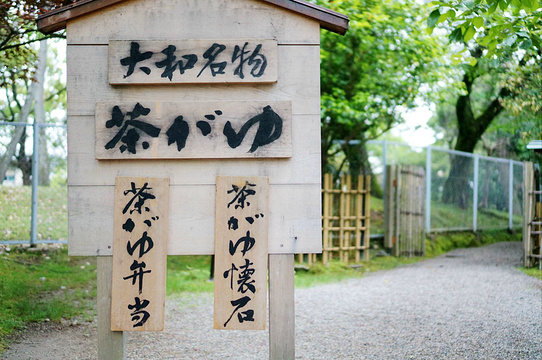 塔の茶屋旅游景点图片