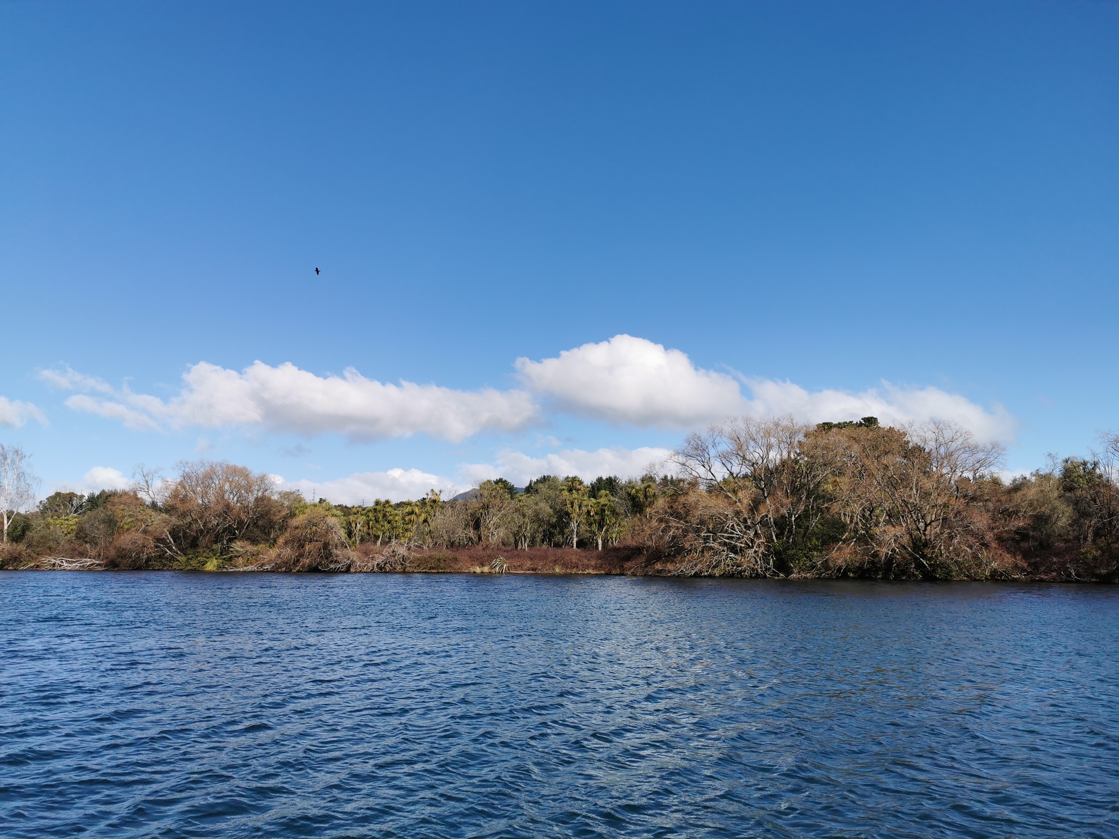 Huka Falls River Cruise