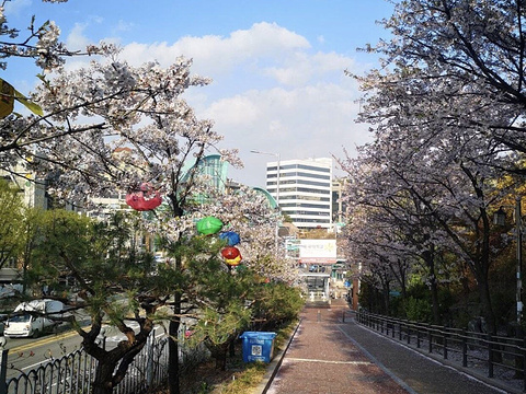 奖忠体育馆旅游景点图片