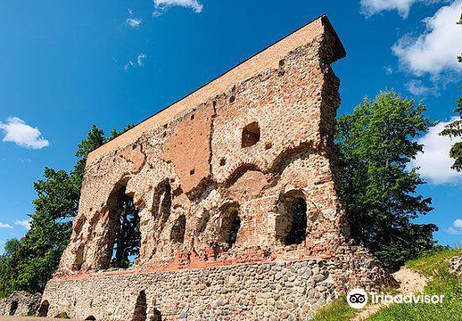 Ruins of the Viljandi Order Castle旅游景点图片