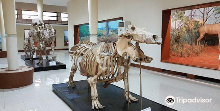 卢安达自然历史博物馆旅游景点图片