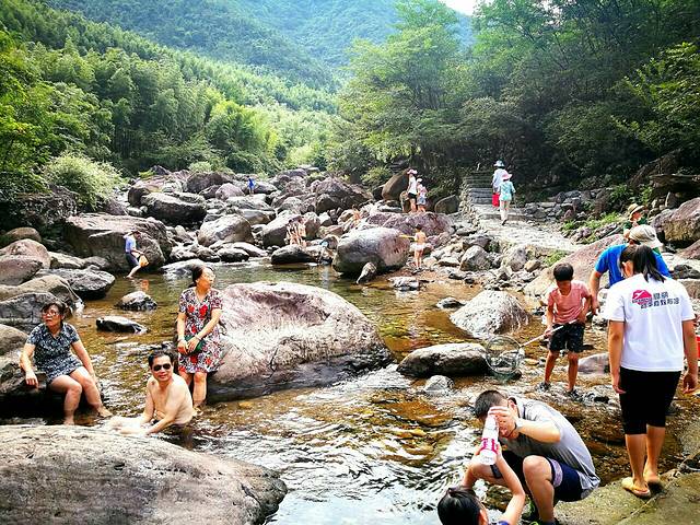 西天目林海农庄