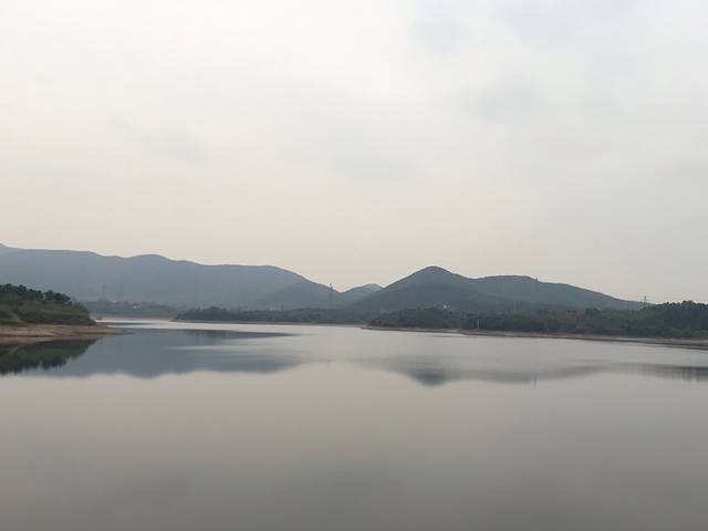 南京市蟠龙湖森林公园