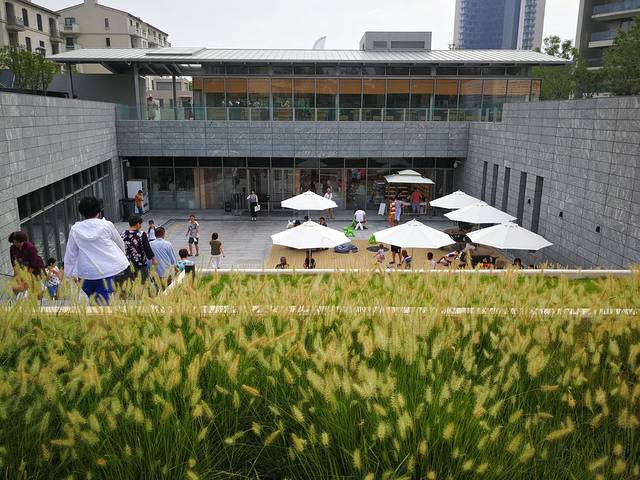 阿那亚第三食堂Cafeteria 3