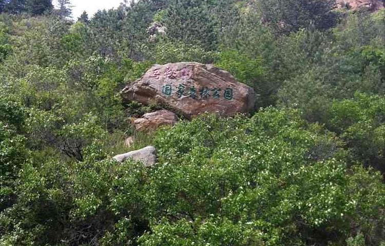 马鞍山国家森林公园景区