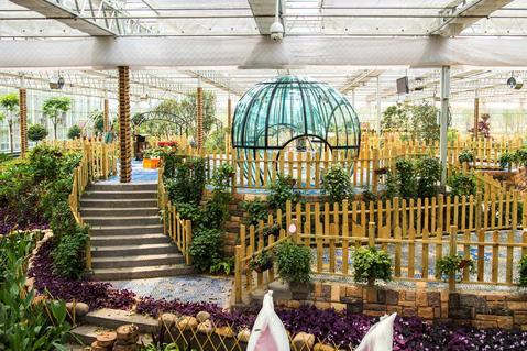 益阳现代农业示范园