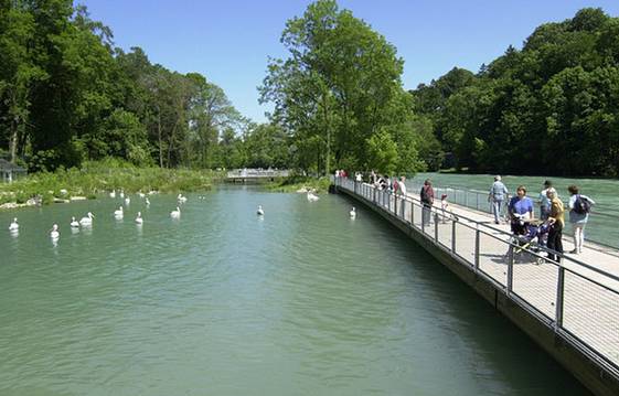 Zoological Garden Dahlholzli