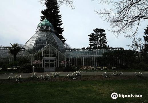 W.W. Seymour Botanical Conservatory旅游景点图片