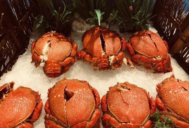 余姚辰茂河姆渡酒店·西餐厅