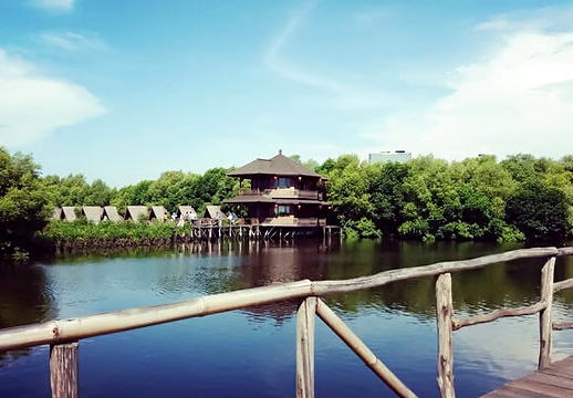 Wisata Alam Mangrove Pantai Indah Kapuk旅游景点图片