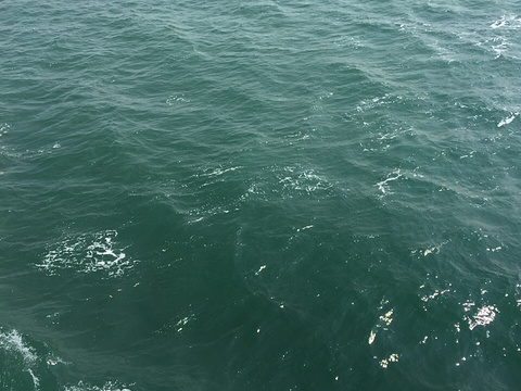Orca水中观光船旅游景点图片