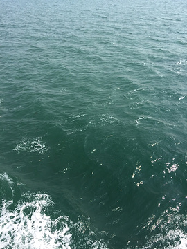 Orca水中观光船的图片