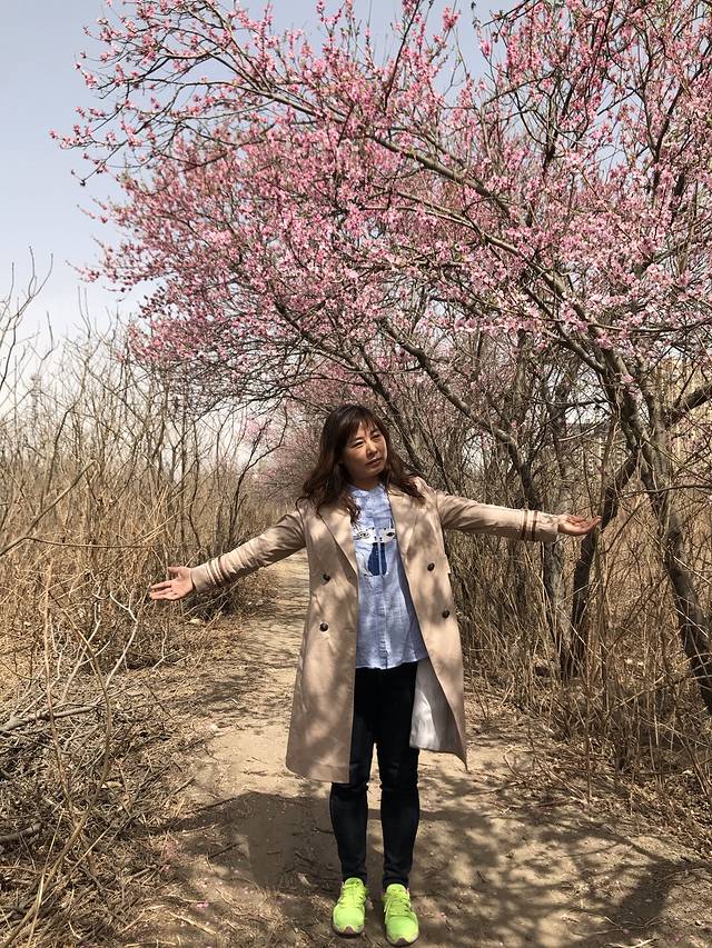 花果山森林公园