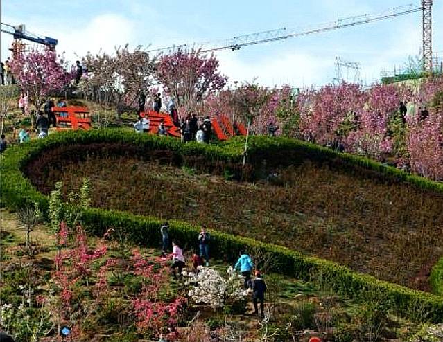 玉泉山城郊森林公园