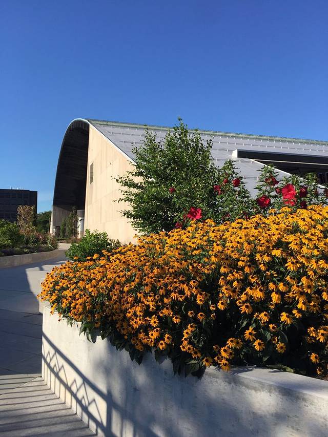 布法罗尼亚加拉国际机场