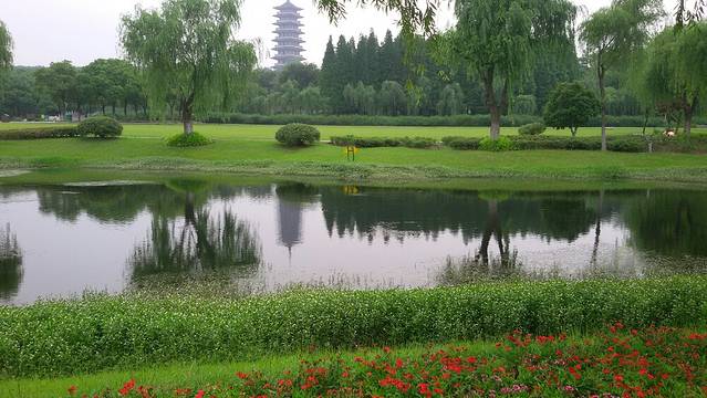 宜兴国家森林公园