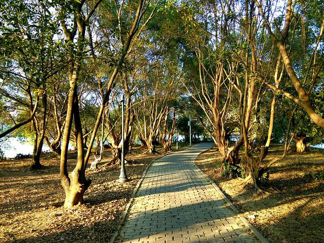 蕉石岭森林公园