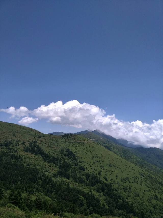 神农坛生态农庄