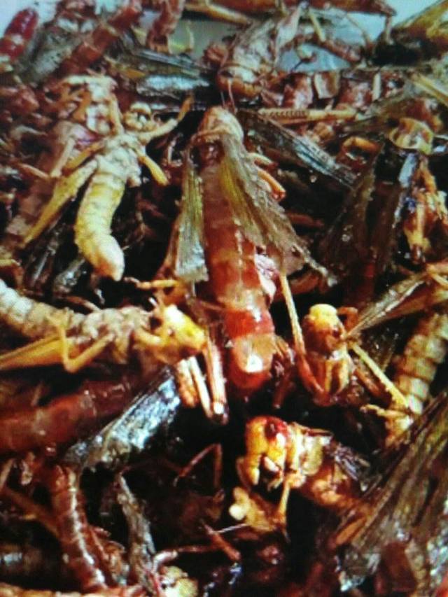 峪夼水库农家宴