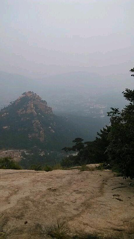 "景区环境很好，山前的水岩寺免费进没有门票，上山后石阶不是很陡，山也不是很高，上山后视野很开阔，..._碣石山景区"的评论图片