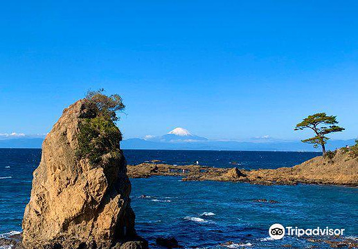 三浦海岸旅游景点图片