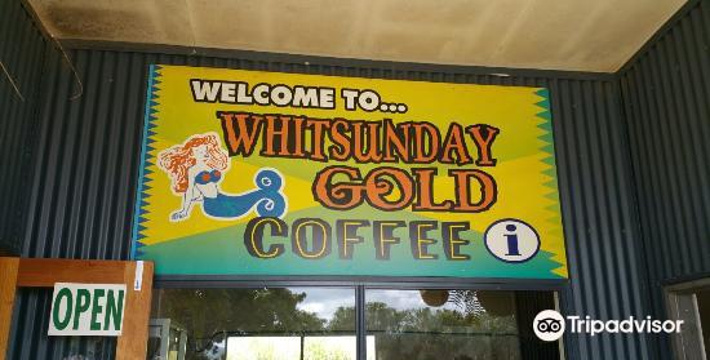 Whitsunday Gold Coffee旅游景点图片