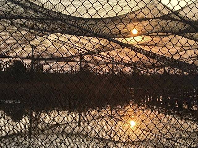 鄱阳湖大草原景区-无念岛