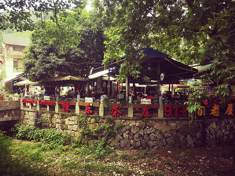 樟乐茶庄·青瓷旅游景点图片