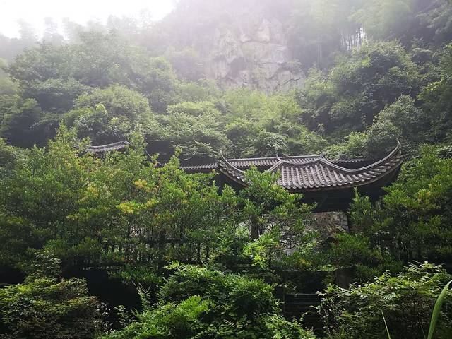 碧坞香风山庄