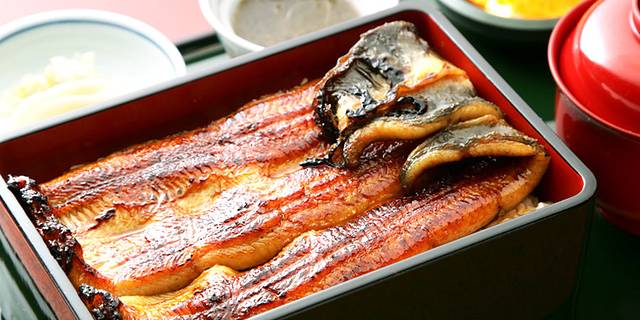 Kanda Kikukawa, Kanda