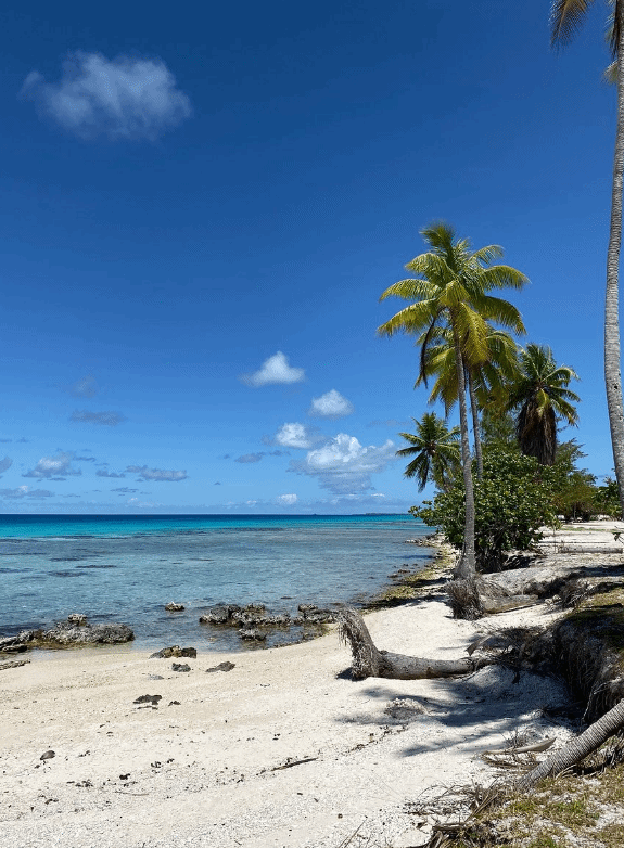 Y AKA Plongée RANGIROA