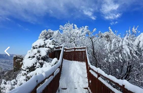 光雾山旅游景区旅游景点攻略图