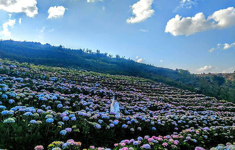 玉溪旅游景点