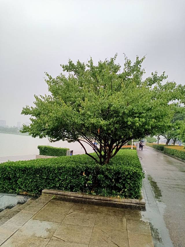 东江湖旅游码头