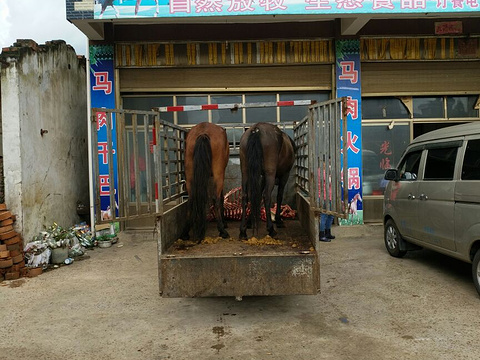 老华带皮马肉馆旅游景点图片