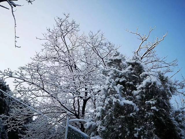 蟠龙山国家森林公园