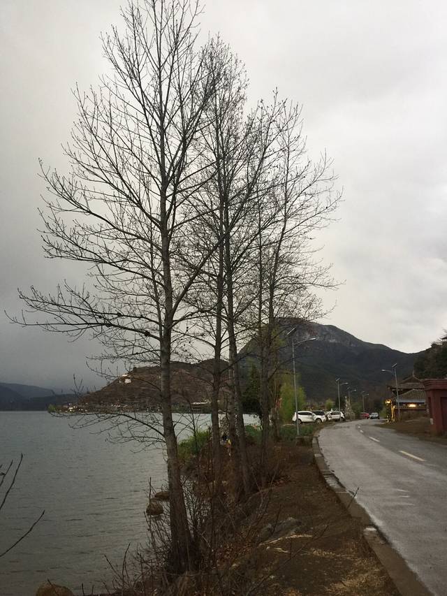 摩梭银匠世家纯狠坊