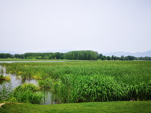 京西草原jingxi grassland