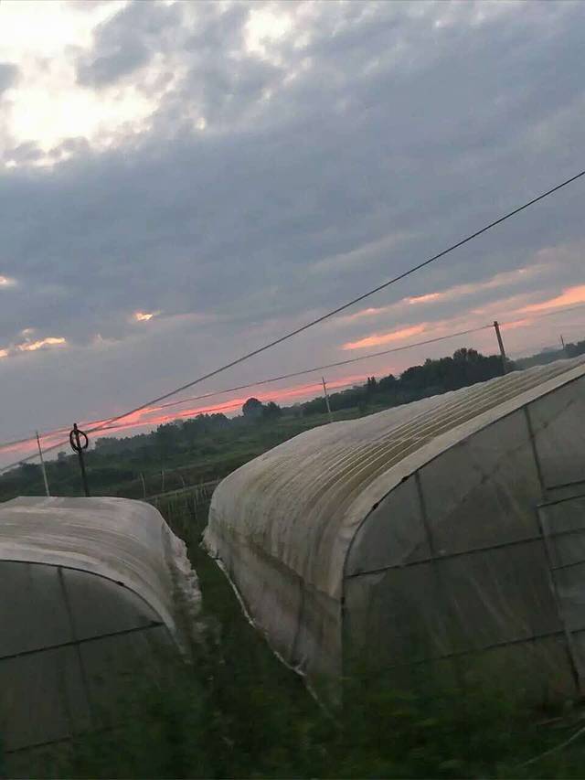 天香果园(花湖店)