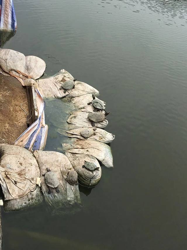 潮汕风文化主题花园