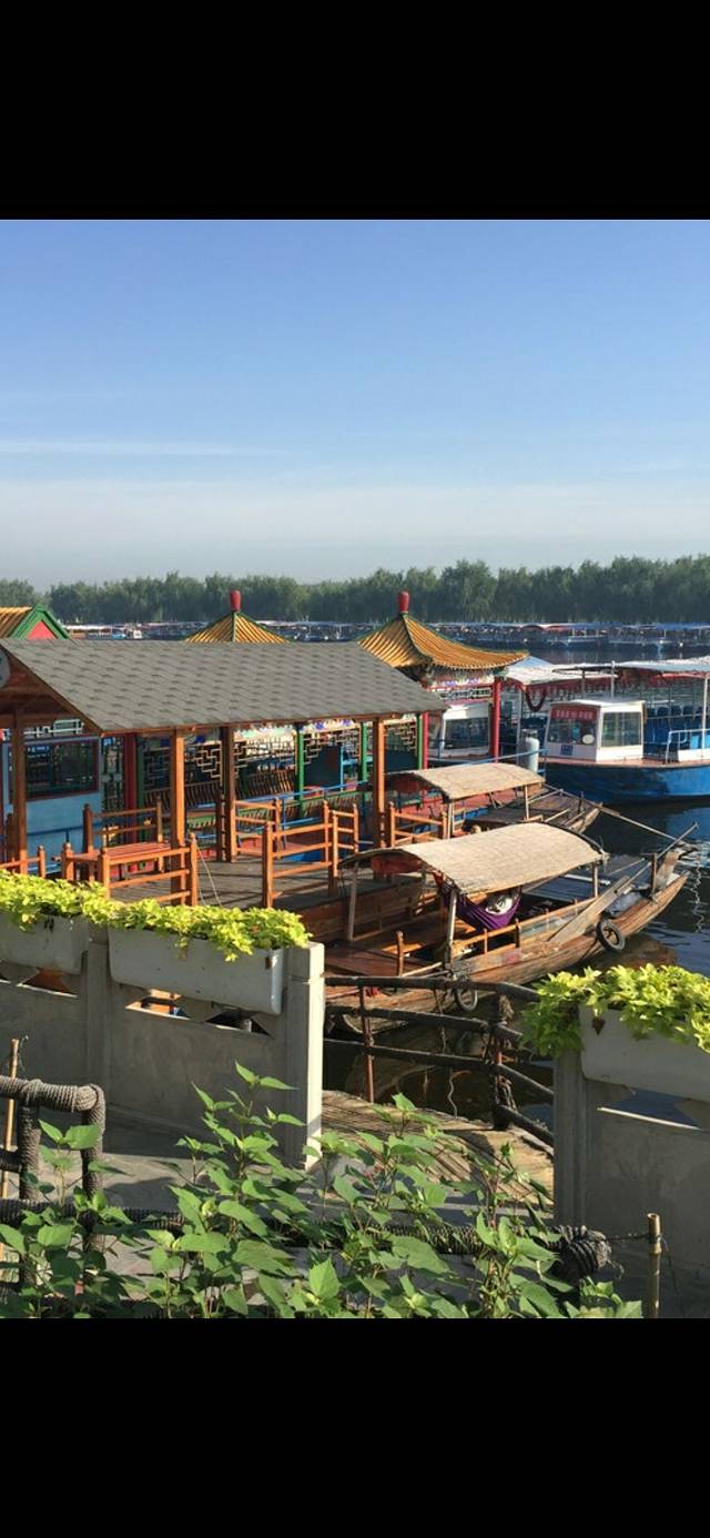 白洋淀旅游码头
