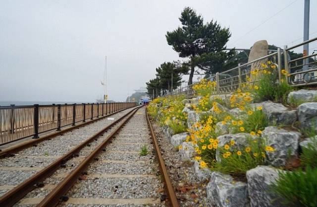 三陟海洋铁路自行车