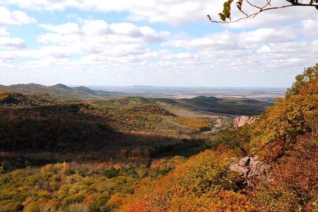 舒兰市301森林公园