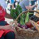 Harvest Launceston, Community Farmers’ Market