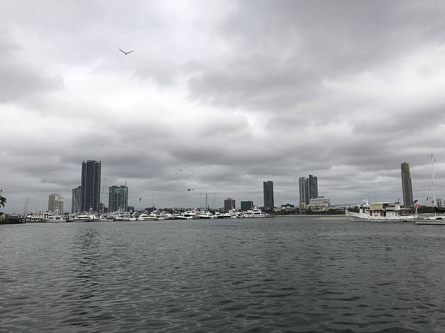 Gold Coast Fishermen’s Cooperative