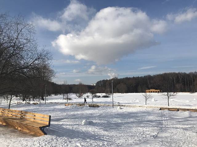 Alyoshkinskiy Forest