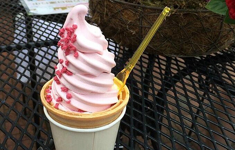 Shiroi koibito park Soft ice cream House