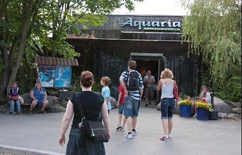 Skansen Aquarium的图片